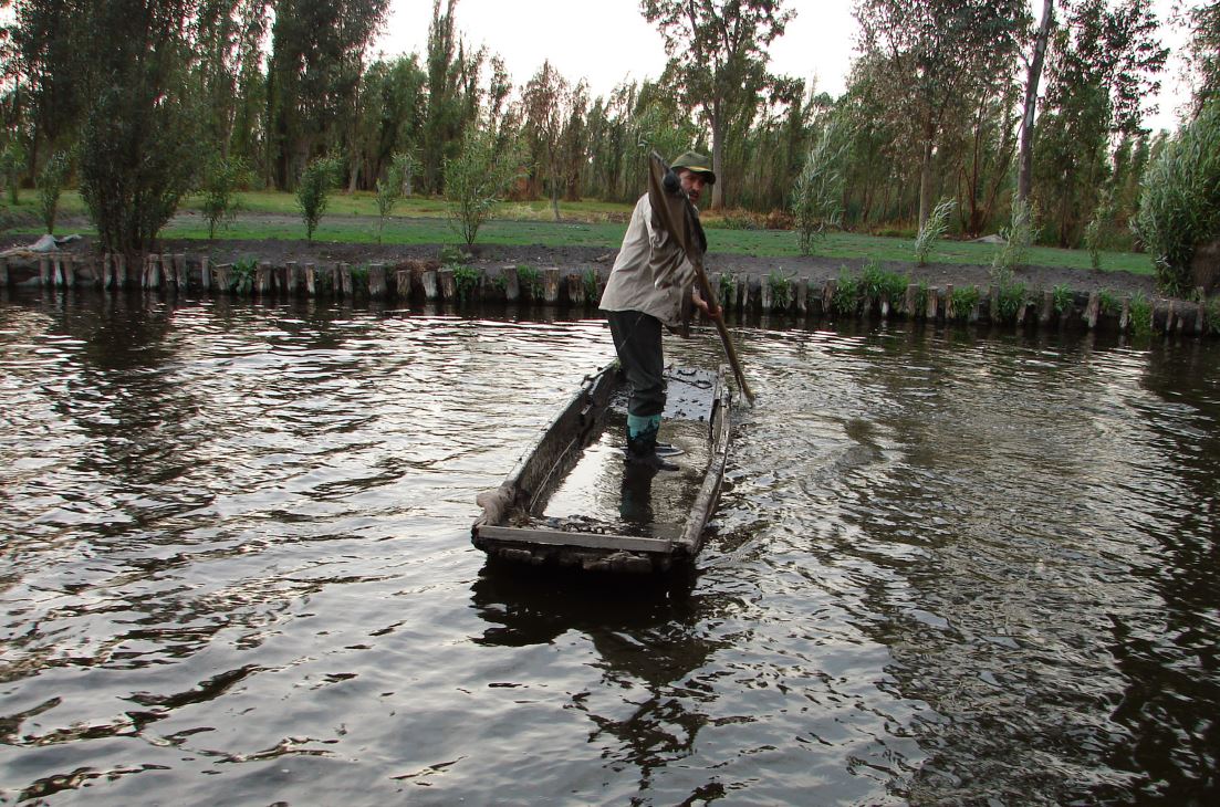 Chinampero selecting the mud from the canal to build the seedlings or nursery