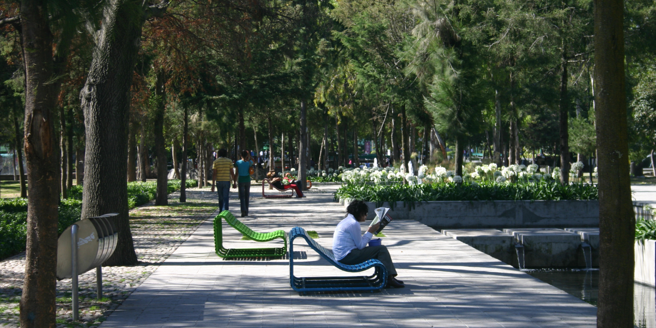 Accessible promenade with colorful benches beside a reflecting pool, surrounded by mature trees and landscaped planting.