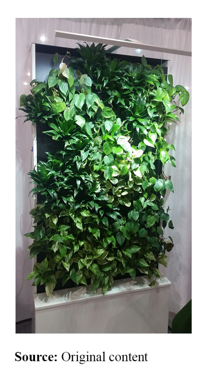 Example of a freestanding living green wall feature. Source: Original Content (from Stephanie's paper).