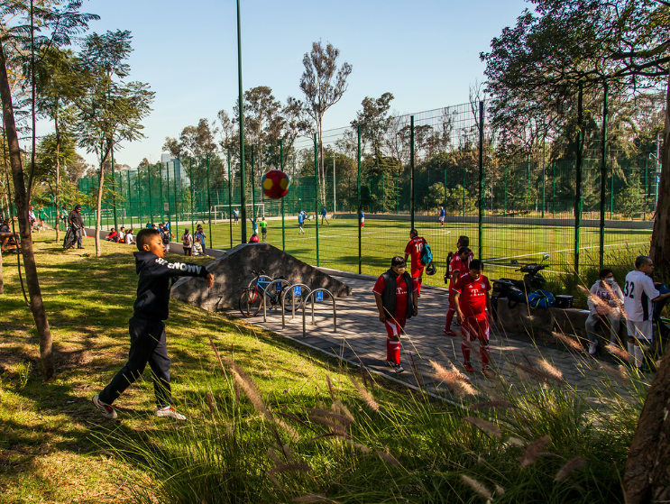 Visitors gather along shaded paths beside children play in soccer fields at Chapultepec Park, where trees, lawns, and recreation spaces support daily use.